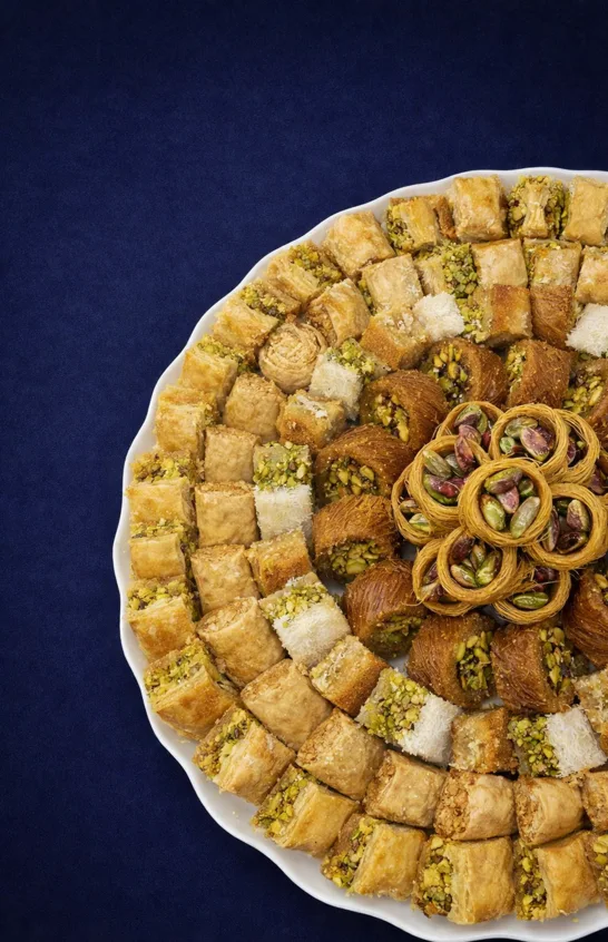 Home resized2 546x846